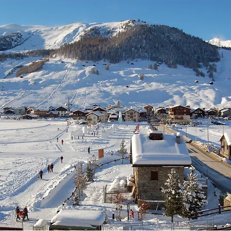 Bondi Bed & Breakfast