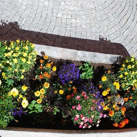 Bondi Bed & Breakfast Livigno